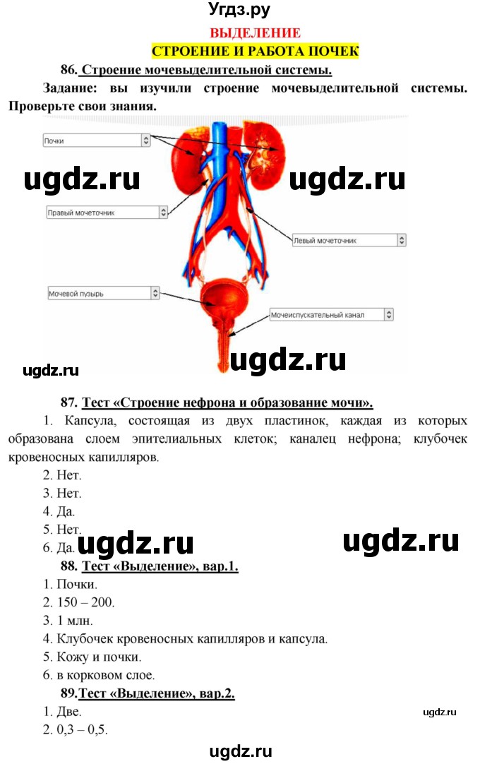 ГДЗ (Решебник к учебнику 2013) по биологии 8 класс Сонин Н.И. / страница / 204(продолжение 5)