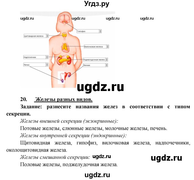 ГДЗ (Решебник к учебнику 2013) по биологии 8 класс Сонин Н.И. / страница / 53(продолжение 7)