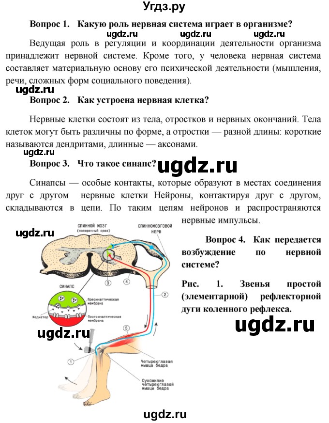 ГДЗ (Решебник к учебнику 2013) по биологии 8 класс Сонин Н.И. / страница / 59