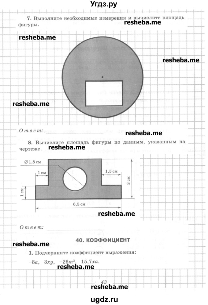 ГДЗ (Учебник) по математике 6 класс (рабочая тетрадь) Рудницкая В.Н. / часть 2. страница номер / 43