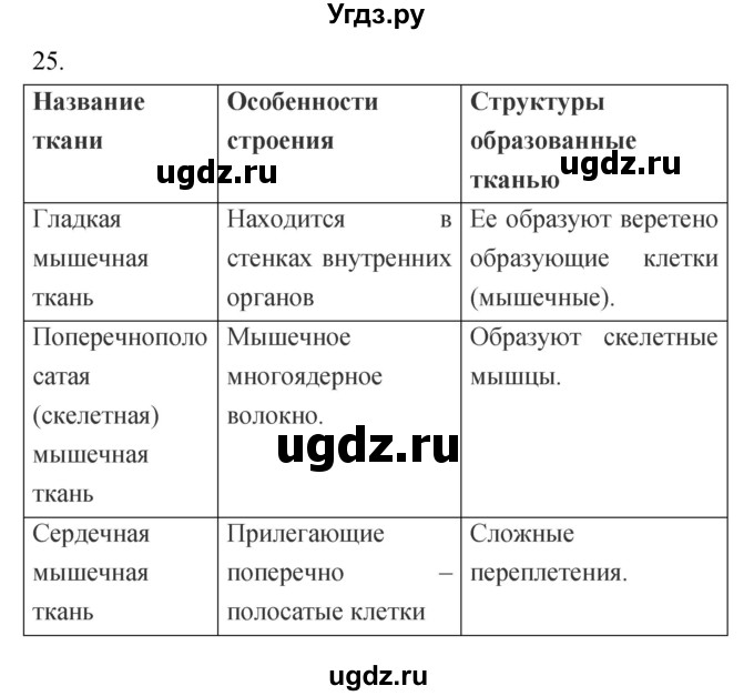 ГДЗ (Решебник к тетради 2019) по биологии 8 класс (рабочая тетрадь) Сонин Н.И. / номер / 25