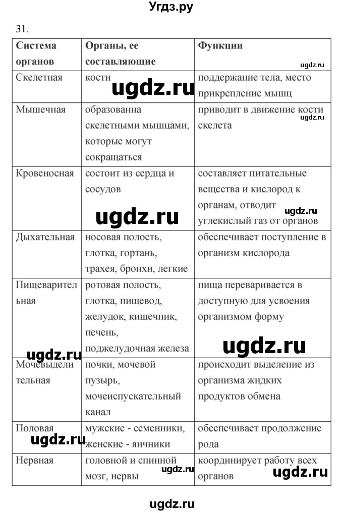 ГДЗ (Решебник к тетради 2019) по биологии 8 класс (рабочая тетрадь) Сонин Н.И. / номер / 31