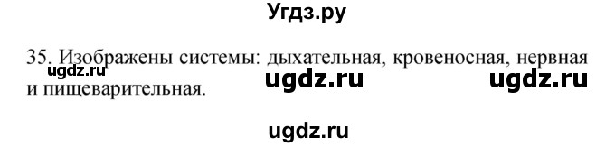 ГДЗ (Решебник к тетради 2019) по биологии 8 класс (рабочая тетрадь) Сонин Н.И. / номер / 35