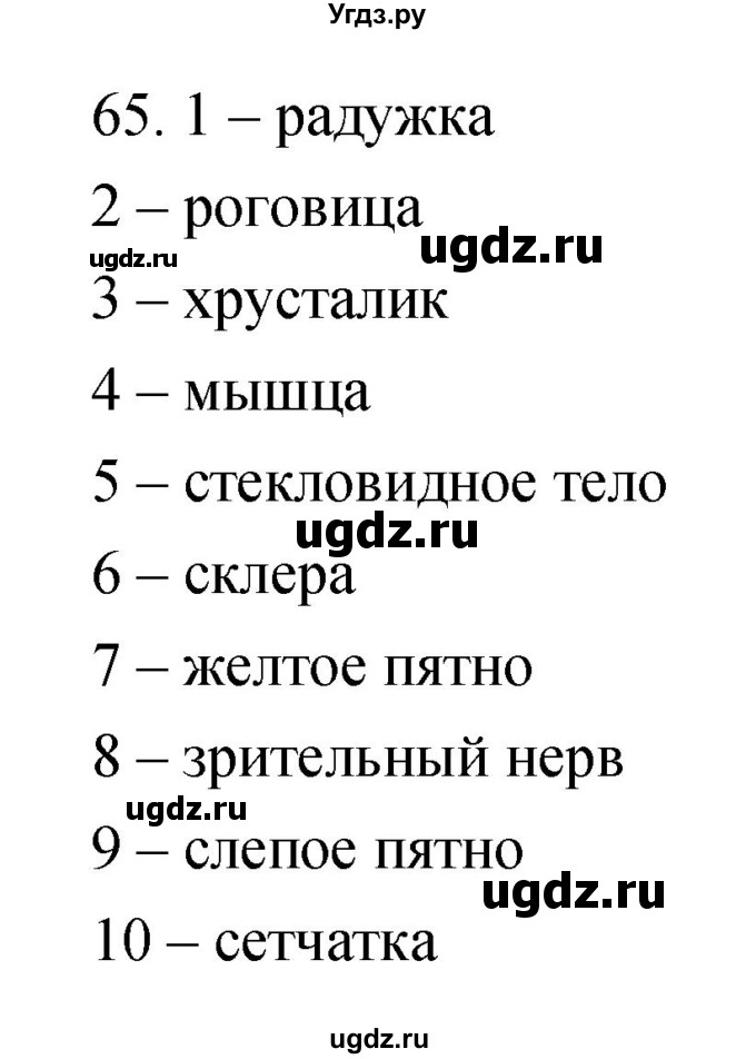 ГДЗ (Решебник к тетради 2019) по биологии 8 класс (рабочая тетрадь) Сонин Н.И. / номер / 65