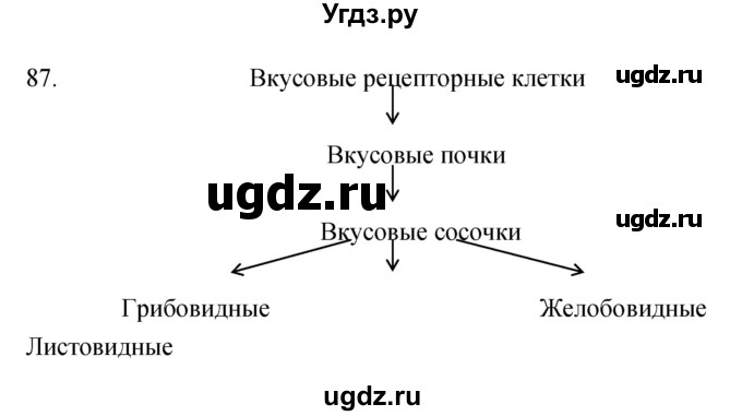 ГДЗ (Решебник к тетради 2019) по биологии 8 класс (рабочая тетрадь) Сонин Н.И. / номер / 87