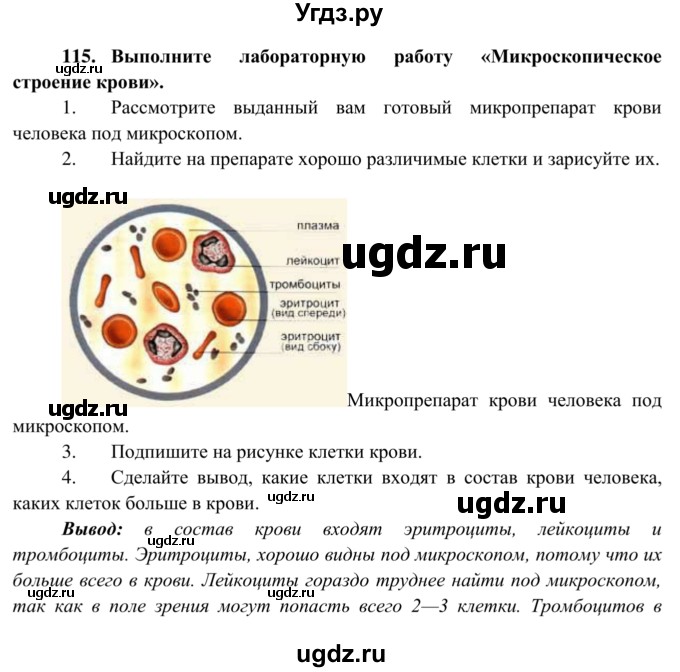 ГДЗ (Решебник к тетради 2014) по биологии 8 класс (рабочая тетрадь) Сонин Н.И. / номер / 115