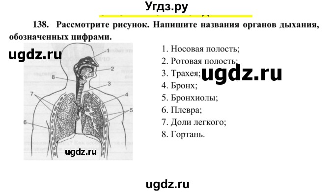 ГДЗ (Решебник к тетради 2014) по биологии 8 класс (рабочая тетрадь) Сонин Н.И. / номер / 138