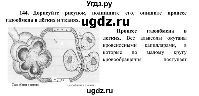 ГДЗ (Решебник к тетради 2014) по биологии 8 класс (рабочая тетрадь) Сонин Н.И. / номер / 144