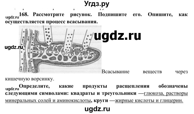 ГДЗ (Решебник к тетради 2014) по биологии 8 класс (рабочая тетрадь) Сонин Н.И. / номер / 168