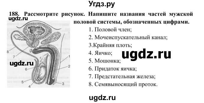 ГДЗ (Решебник к тетради 2014) по биологии 8 класс (рабочая тетрадь) Сонин Н.И. / номер / 188