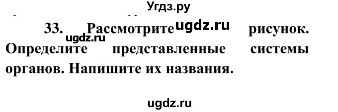 ГДЗ (Решебник к тетради 2014) по биологии 8 класс (рабочая тетрадь) Сонин Н.И. / номер / 33