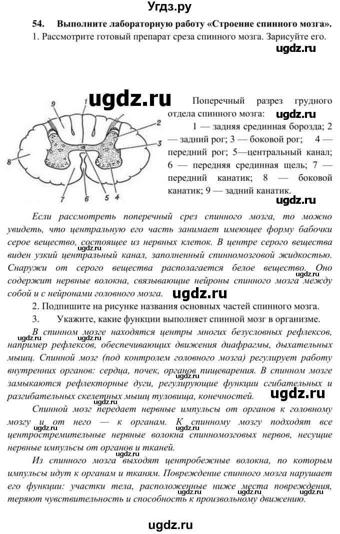 ГДЗ (Решебник к тетради 2014) по биологии 8 класс (рабочая тетрадь) Сонин Н.И. / номер / 54