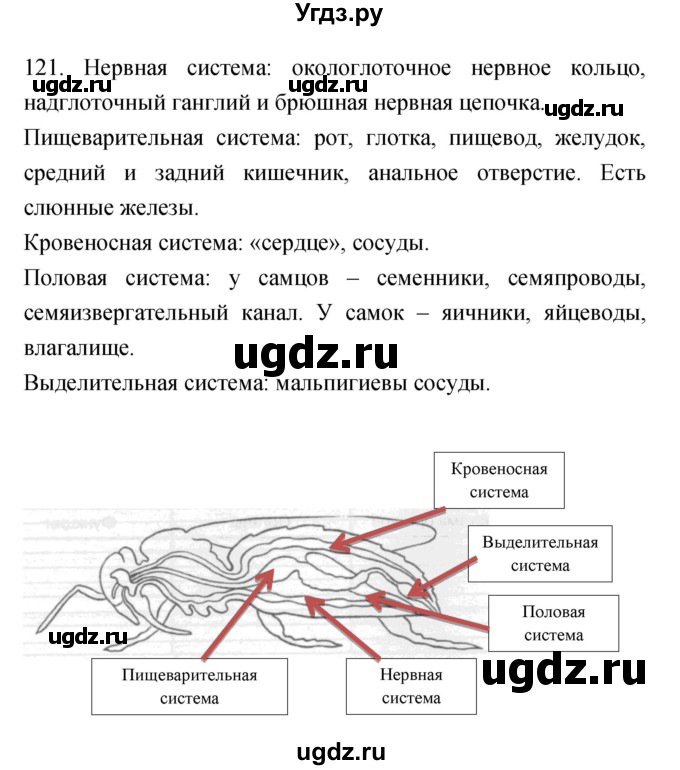 ГДЗ (Решебник) по биологии 7 класс (рабочая тетрадь) Захаров В.Б. / упражнение номер / 121
