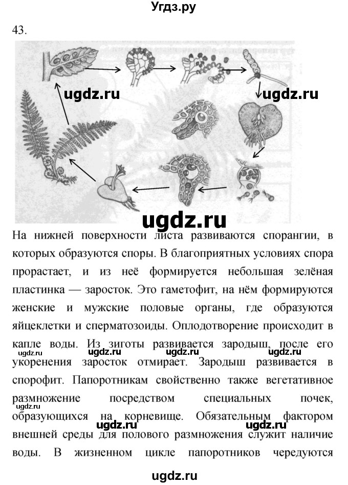 ГДЗ (Решебник) по биологии 7 класс (рабочая тетрадь) Захаров В.Б. / упражнение номер / 43