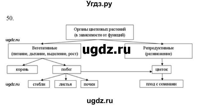 ГДЗ (Решебник) по биологии 7 класс (рабочая тетрадь) Захаров В.Б. / упражнение номер / 50