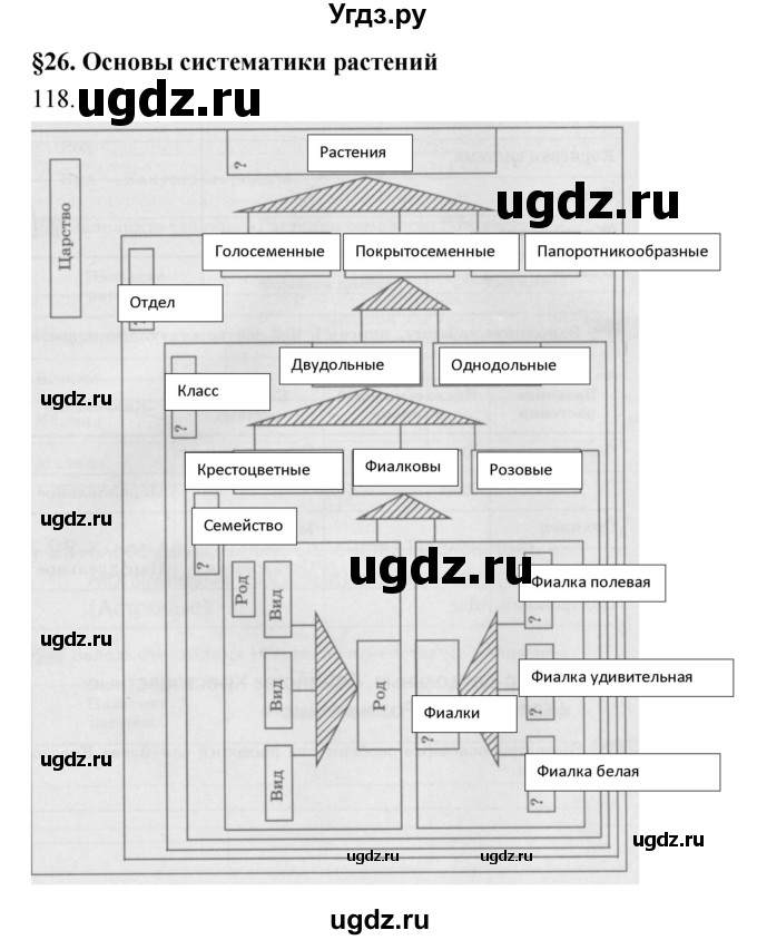 ГДЗ (Решебник) по биологии 6 класс (рабочая тетрадь) Пасечник В.В. / номер / 118