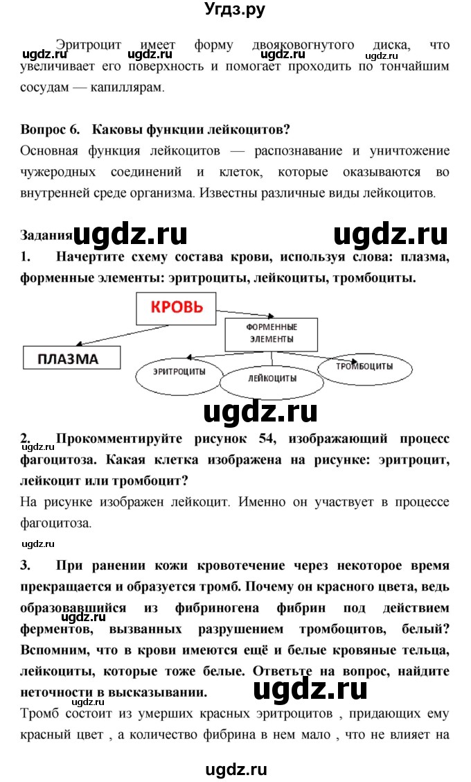 ГДЗ (Решебник  к учебнику 2018) по биологии 8 класс Колесов Д.В. / парграф / §17(продолжение 3)