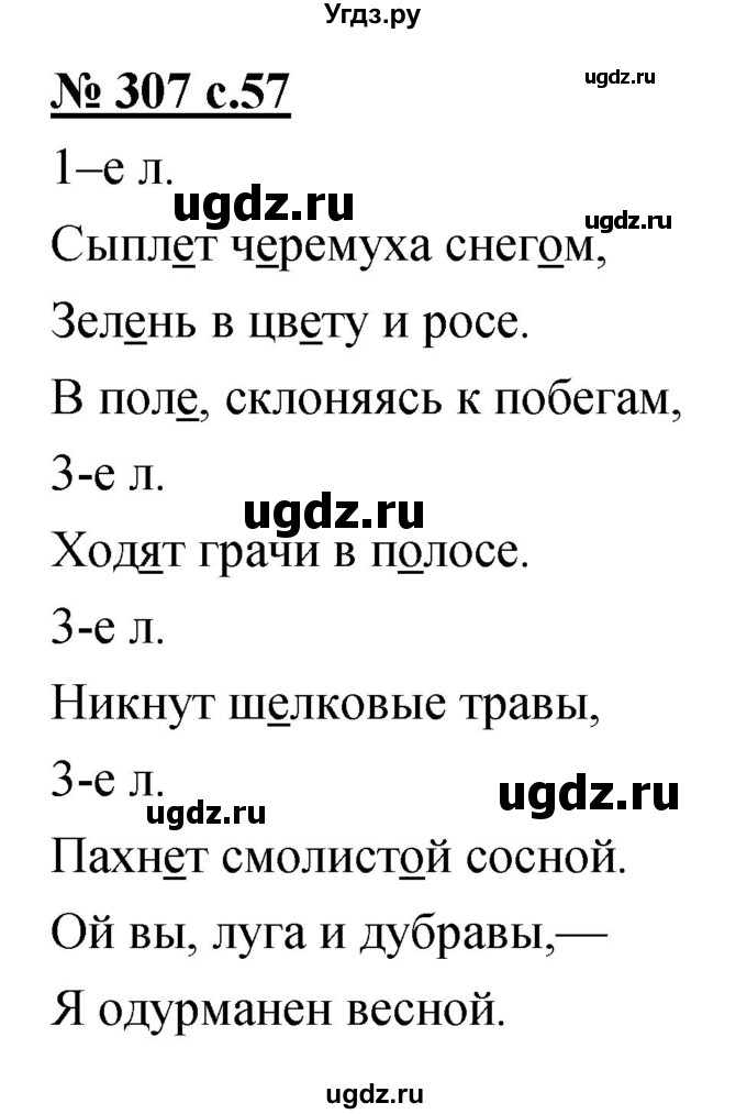 ГДЗ (Решебник) по русскому языку 4 класс Ломакович С.В. / упражнение / 307