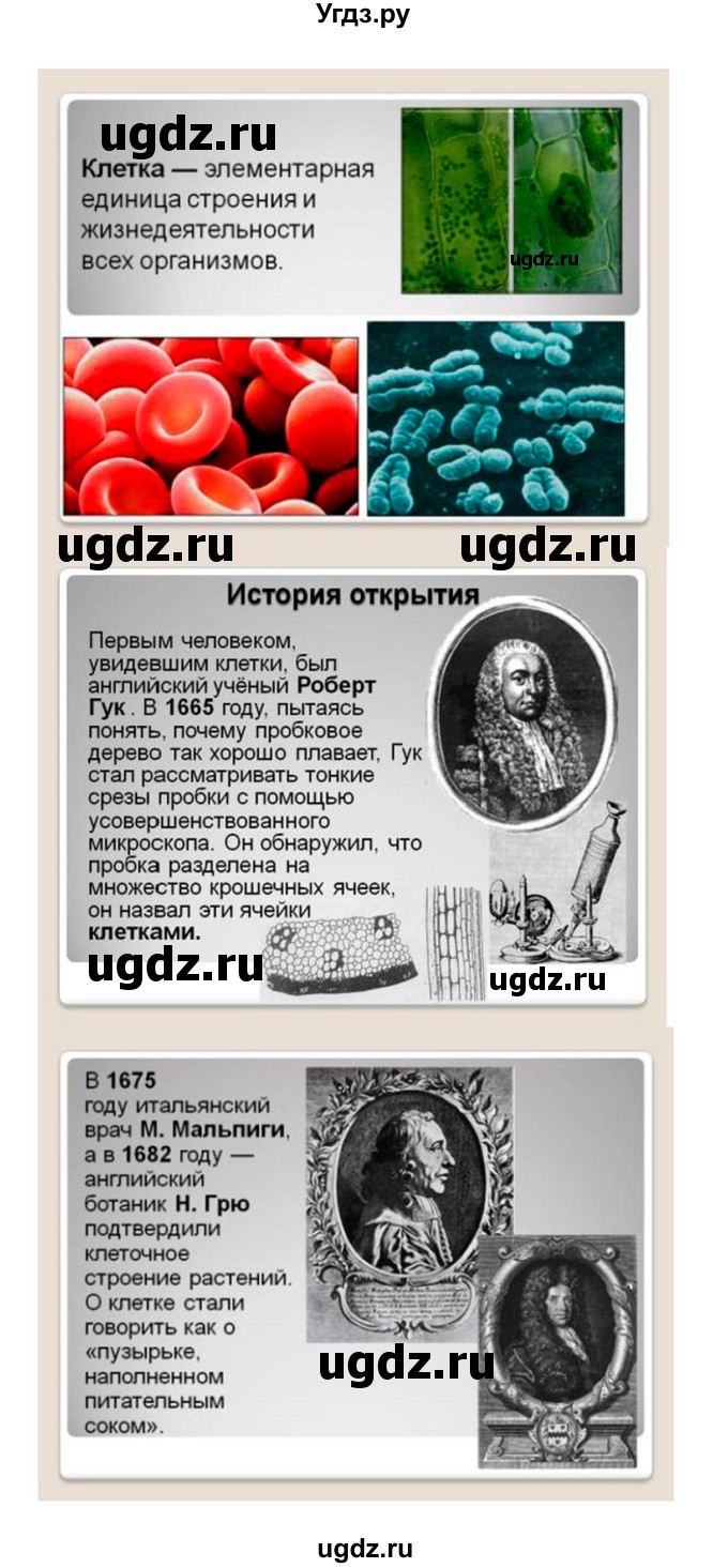 ГДЗ (Решебник) по биологии 10 класс Пасечник В.В. / страница. номер / 114(продолжение 5)