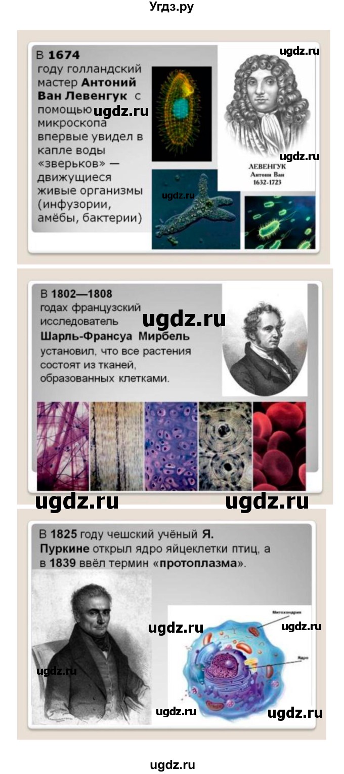 ГДЗ (Решебник) по биологии 10 класс Пасечник В.В. / страница. номер / 114(продолжение 6)