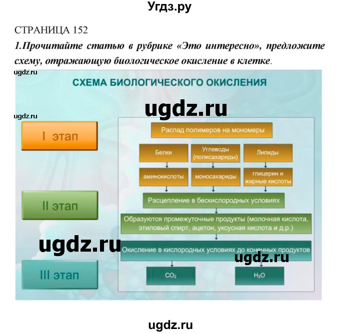 ГДЗ (Решебник) по биологии 10 класс Пасечник В.В. / страница. номер / 152(продолжение 3)