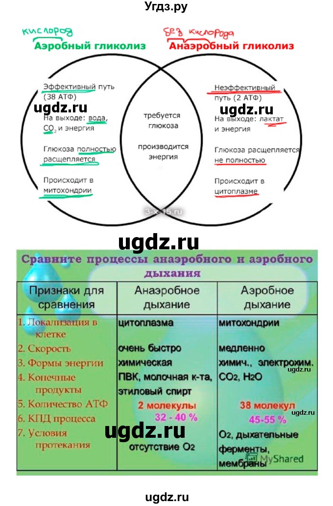 ГДЗ (Решебник) по биологии 10 класс Пасечник В.В. / страница. номер / 159(продолжение 3)