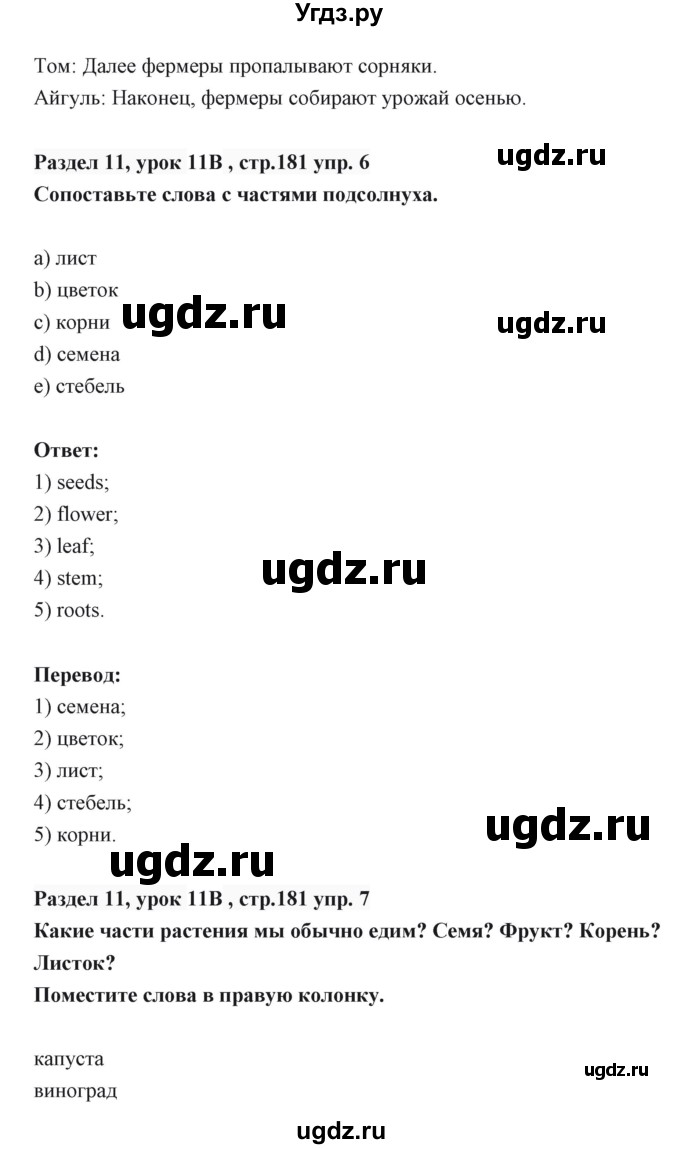 ГДЗ (Решебник) по английскому языку 6 класс Балута О.Р. / страница / 181(продолжение 2)