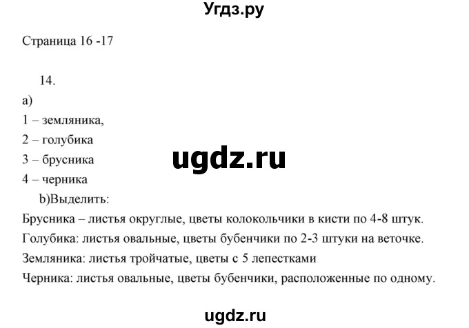 ГДЗ (Решебник) по информатике 2 класс Бененсон Е.П. / часть 1 (страницы) номер. / 16-17