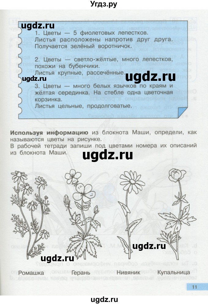 ГДЗ (Учебник) по информатике 2 класс Бененсон Е.П. / часть 1 (страницы) / 10-11(продолжение 2)