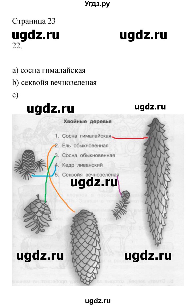 ГДЗ (Решебник) по информатике 3 класс Бененсон Е.П. / часть 1 (страница) номер / 23