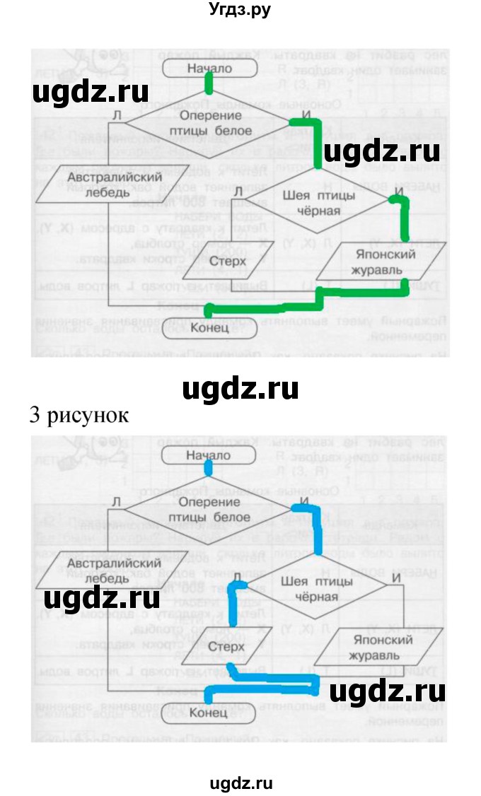 ГДЗ (Решебник) по информатике 3 класс Бененсон Е.П. / часть 2 (страница) номер / 45(продолжение 2)