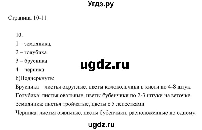 ГДЗ (Решебник) по информатике 2 класс (тетрадь для самостоятельной работы ) Бененсон Е.П. / страница номер / 10-11