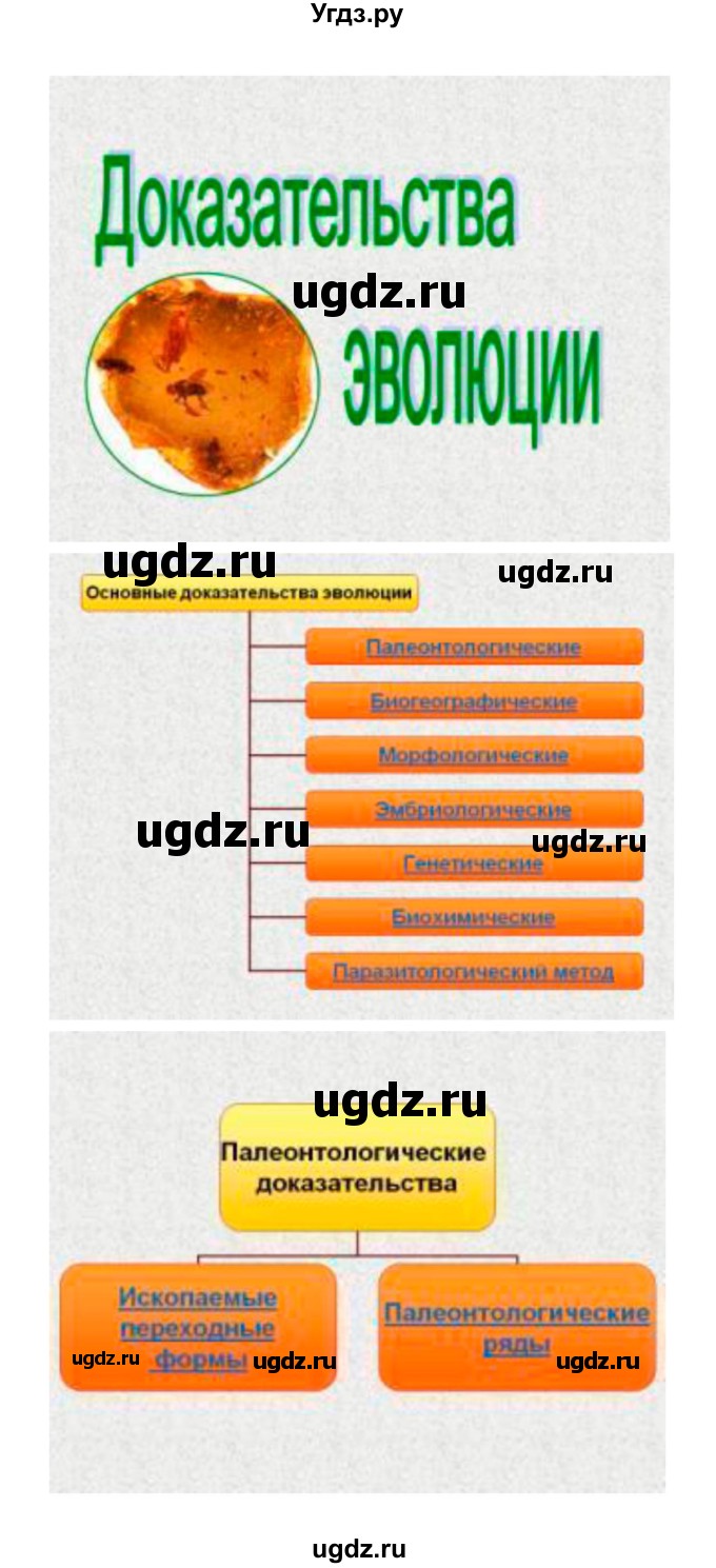 ГДЗ (Решебник) по биологии 11 класс Пасечник В.В. / параграф номер / 15(продолжение 12)