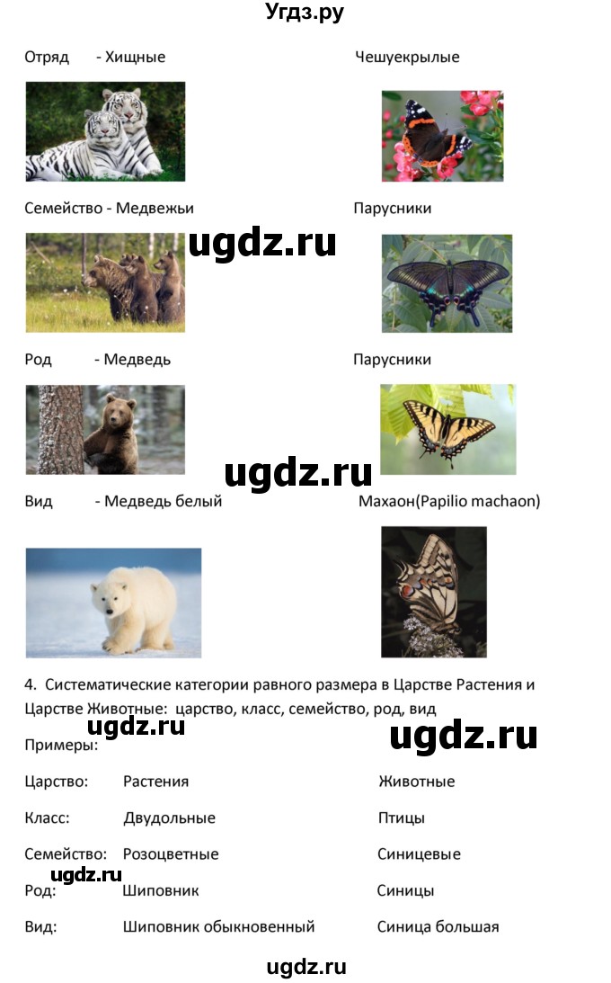 ГДЗ (Решебник) по биологии 8 класс Константинов В.М. / параграф номер / 3(продолжение 2)