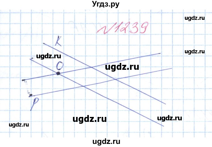 ГДЗ (Решебник №1) по математике 6 класс Мерзляк А.Г. / завдання номер / 1239