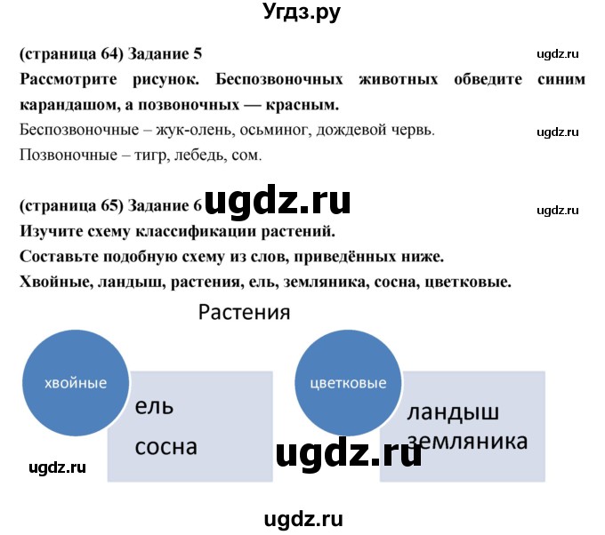 ГДЗ (Решебник) по естествознанию 5 класс (рабочая тетрадь) Плешаков А.А. / страница номер / 64(продолжение 2)