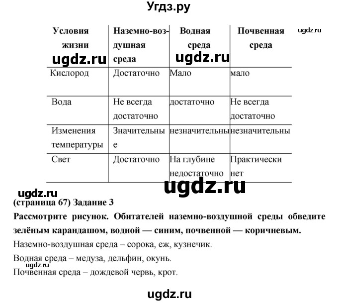 ГДЗ (Решебник) по естествознанию 5 класс (рабочая тетрадь) Плешаков А.А. / страница номер / 67(продолжение 2)