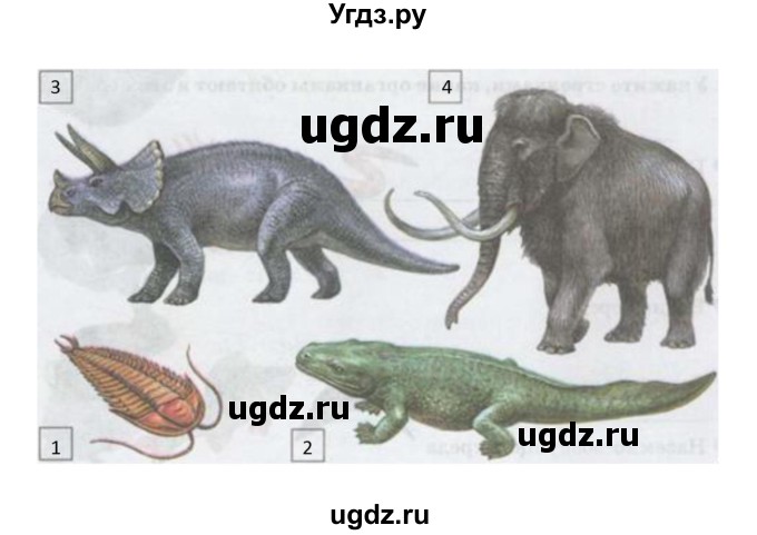 ГДЗ (Решебник) по естествознанию 5 класс (рабочая тетрадь) Плешаков А.А. / страница номер / 77(продолжение 2)