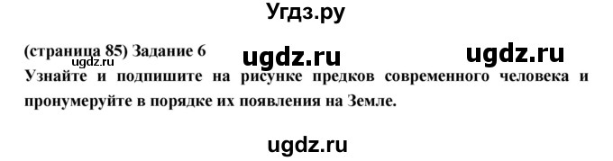 ГДЗ (Решебник) по естествознанию 5 класс (рабочая тетрадь) Плешаков А.А. / страница номер / 85