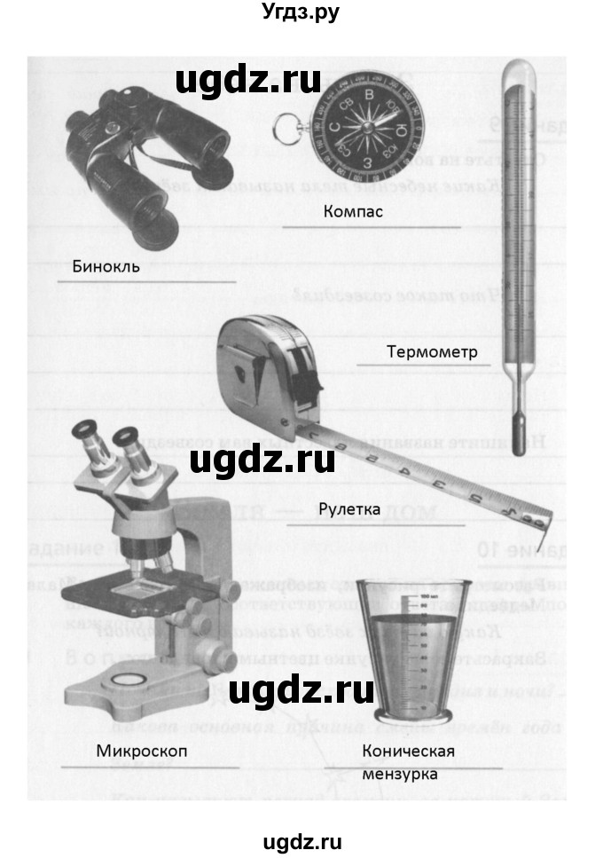 ГДЗ (Решебник) по естествознанию 5 класс (рабочая тетрадь) Пакулова В.М. / страница номер / 7(продолжение 2)