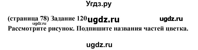 ГДЗ (Решебник) по естествознанию 5 класс (рабочая тетрадь) Пакулова В.М. / страница номер / 78