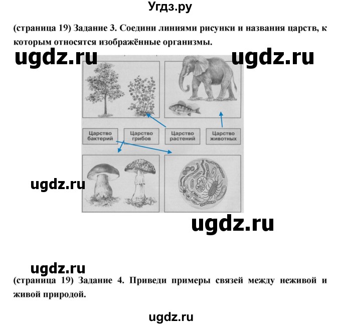 ГДЗ (Решебник) по окружающему миру 3 класс (проверочные  работы) Плешаков А.А. / страница номер / 19