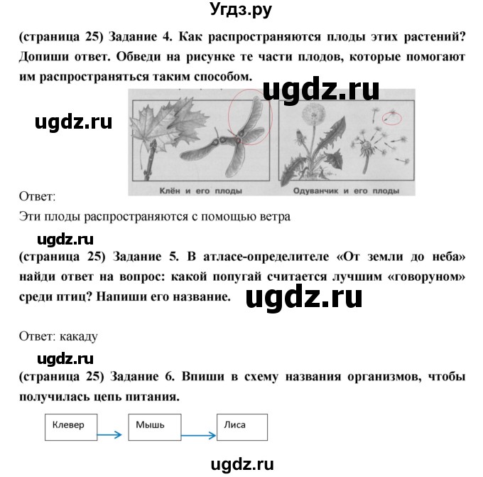 ГДЗ (Решебник) по окружающему миру 3 класс (проверочные  работы) Плешаков А.А. / страница номер / 25