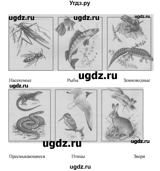 ГДЗ (Решебник) по окружающему миру 3 класс (проверочные  работы) Плешаков А.А. / страница номер / 29(продолжение 2)