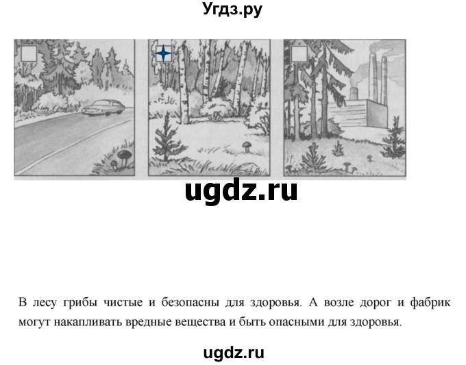 ГДЗ (Решебник) по окружающему миру 3 класс (проверочные  работы) Плешаков А.А. / страница номер / 49(продолжение 2)