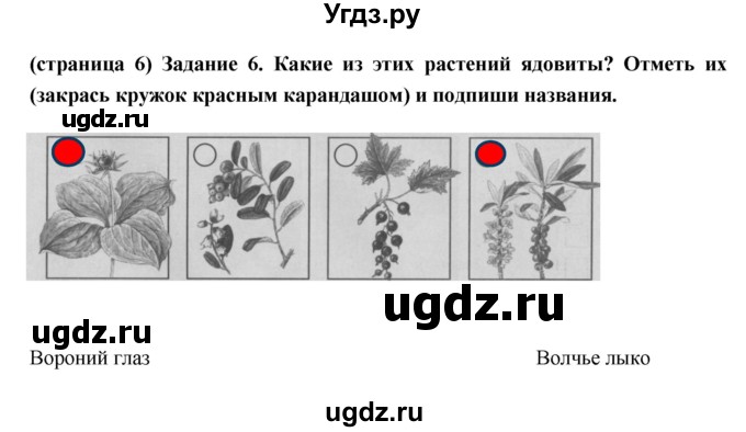 ГДЗ (Решебник) по окружающему миру 3 класс (проверочные  работы) Плешаков А.А. / страница номер / 6(продолжение 2)