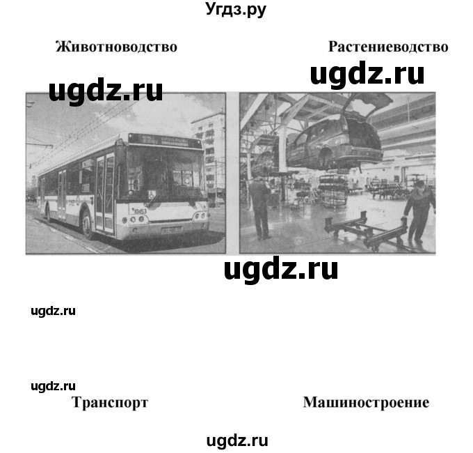 ГДЗ (Решебник) по окружающему миру 3 класс (проверочные  работы) Плешаков А.А. / страница номер / 8(продолжение 2)