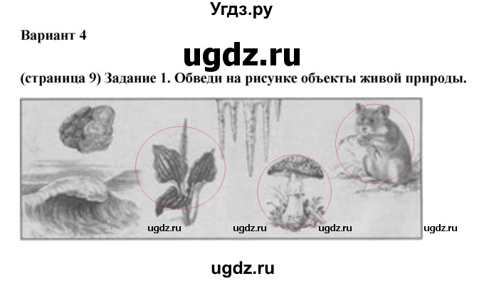 ГДЗ (Решебник) по окружающему миру 3 класс (проверочные  работы) Плешаков А.А. / страница номер / 9