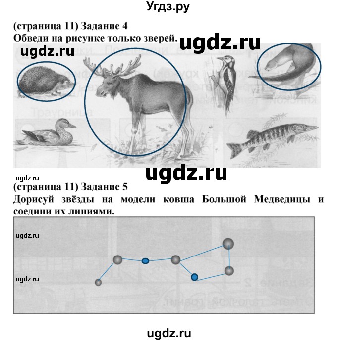 ГДЗ (Решебник) по окружающему миру 1 класс (проверочные работы) Плешаков А.А. / страница номер / 11