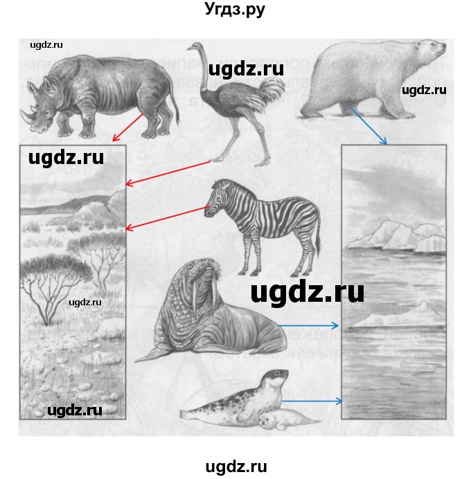 ГДЗ (Решебник) по окружающему миру 1 класс (проверочные работы) Плешаков А.А. / страница номер / 39(продолжение 2)